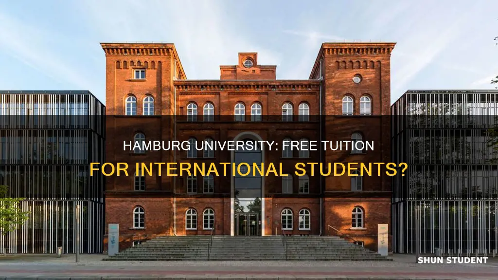 is university of hamburg free for international students