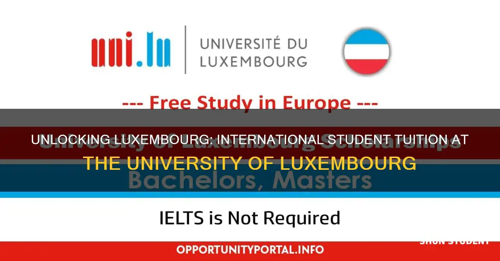 is university of luxembourg free for international students