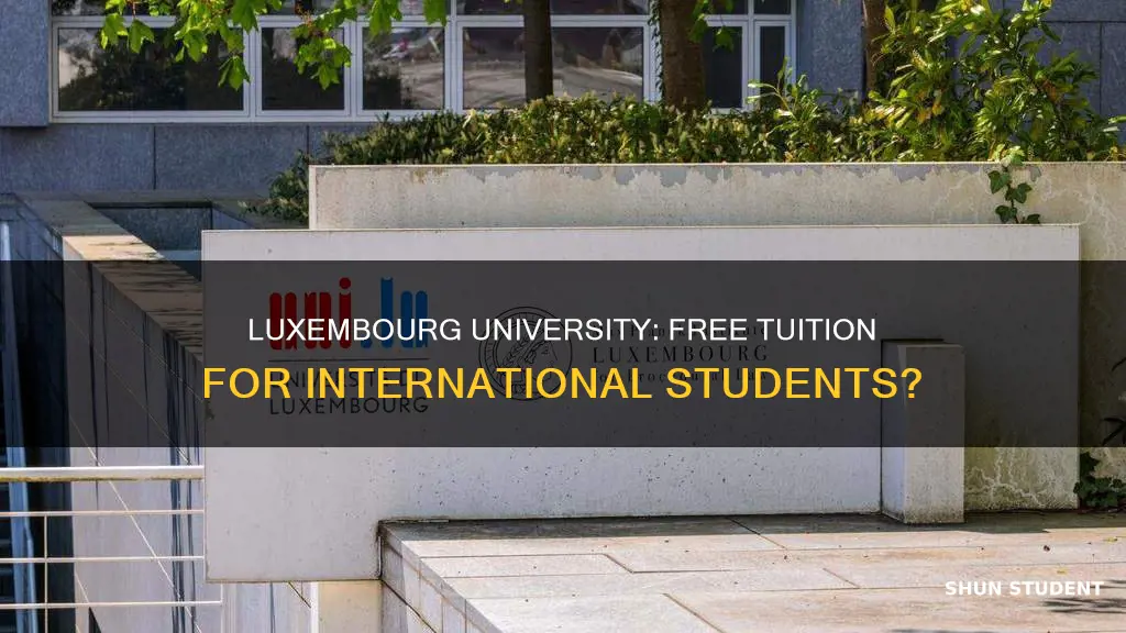 is university of luxembourg free for international students