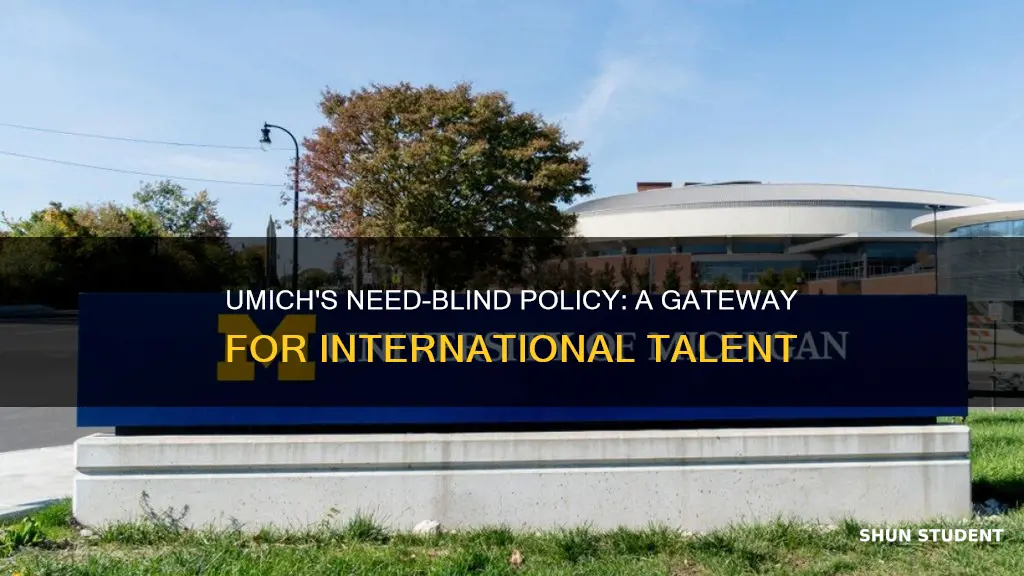 is university of michigan need blind for international students