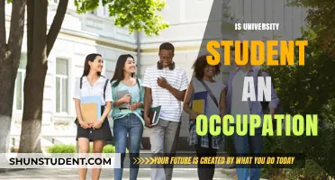 Student Life: A Full-Time Occupation?