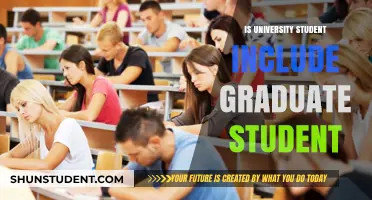 University Students: Undergraduates and Graduates