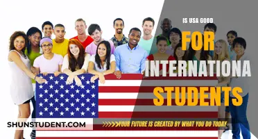 International Students: Is the USA a Good Choice?