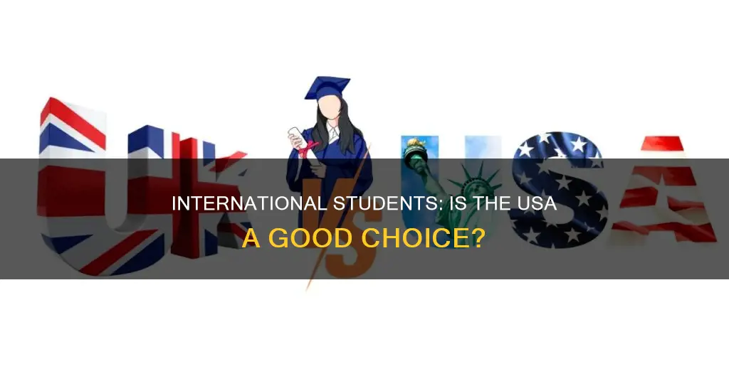 is usa good for international students