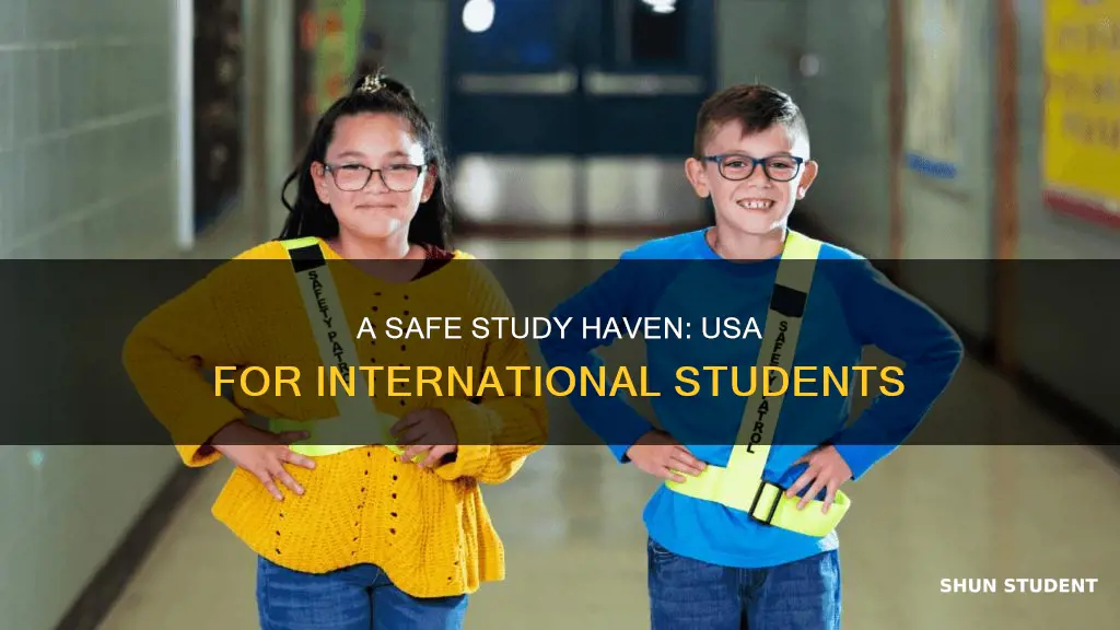 is usa safe for international students