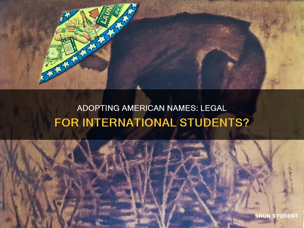 is using american name for international student illegal