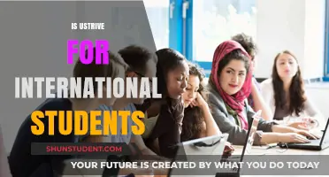 International Student Success: Ustrive's Supportive Role