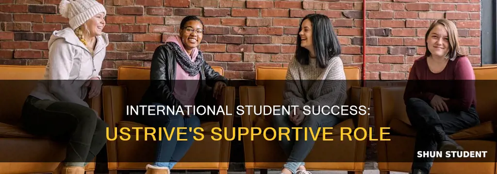 is ustrive for international students