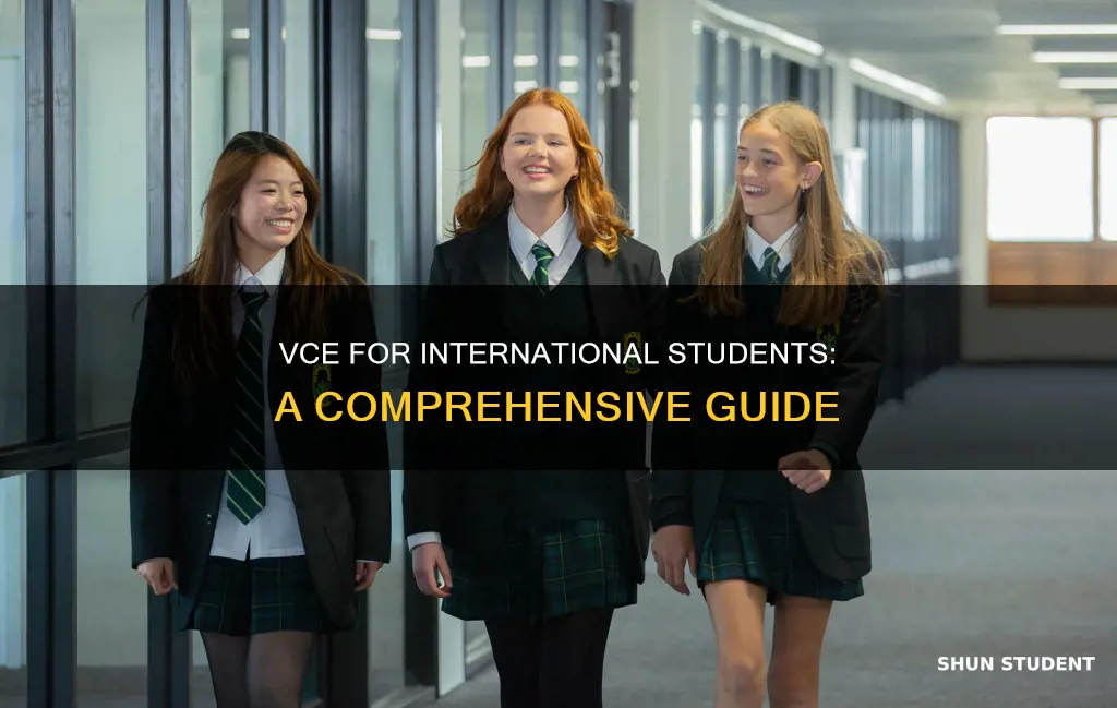 is vce for international students
