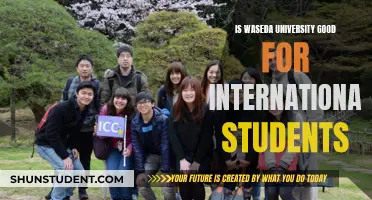 Waseda University: A Top Choice for International Students?