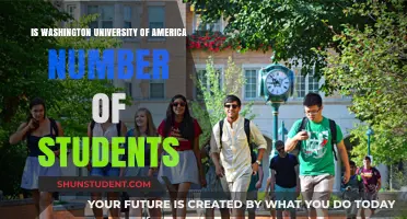 Washington University's Student Population