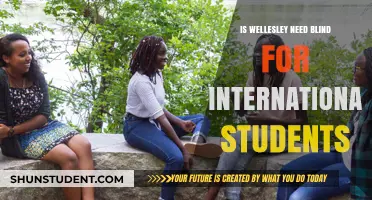 Wellesley's Need-Blind Policy: Does It Include International Students?