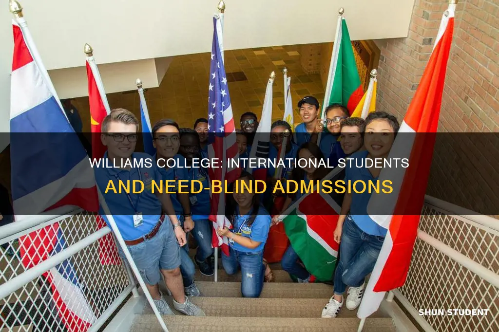 is williams need blind for international students