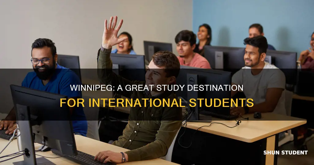 is winnipeg good for international students