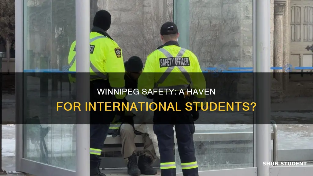 is winnipeg safe for international students