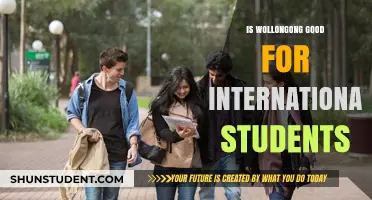 Wollongong: A Haven for International Students