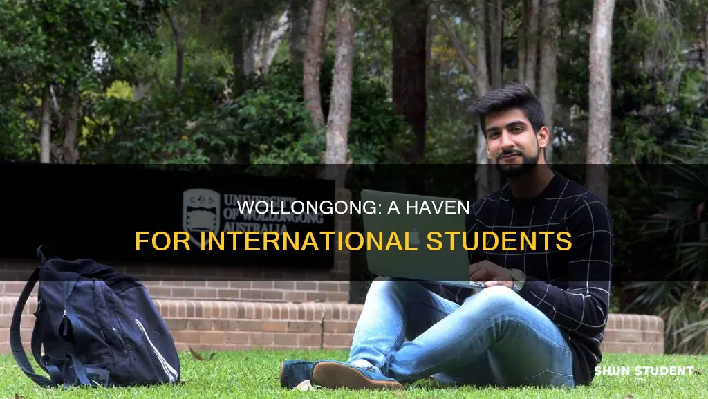 is wollongong good for international students