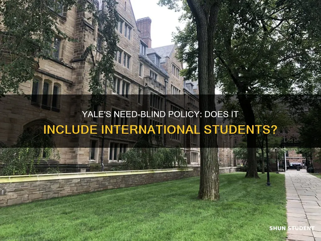 is yale need blind for international students