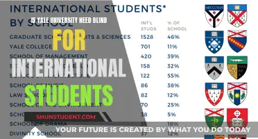 Is Yale University Blind to International Students' Needs?