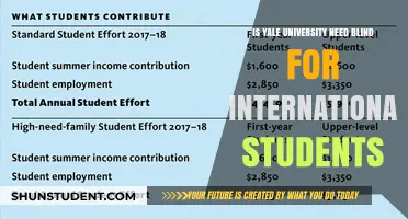 Yale University: Need-Blind for International Students?