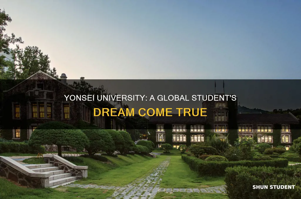 is yonsei university good for international students