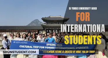 Yonsei University: A Global Student's Dream?