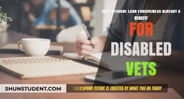Student Loan Forgiveness: A Deserved Benefit for Disabled Veterans?