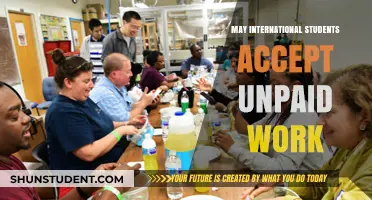 International Students: Unpaid Work, Worth It?