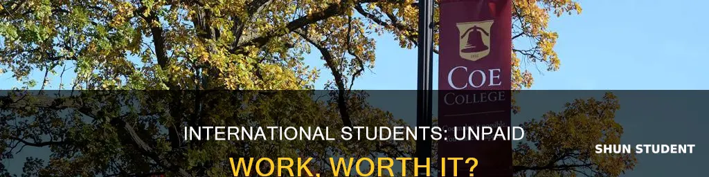 may international students accept unpaid work