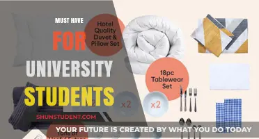 University Students: The Essential Must-Haves for Success