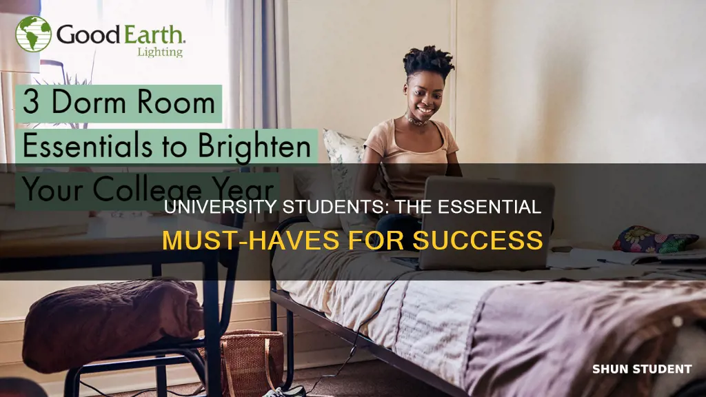 must have for university students