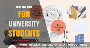 University Students: Essential Items for Success