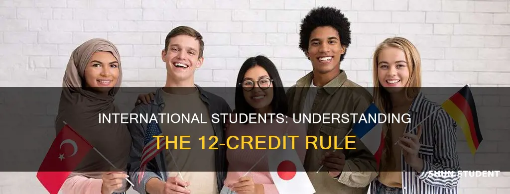 must international student register 12 credit hours