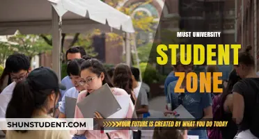 University Students: Focus Zones for Success