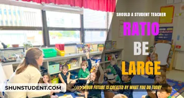 Is a Large Student-Teacher Ratio Beneficial for Learning?