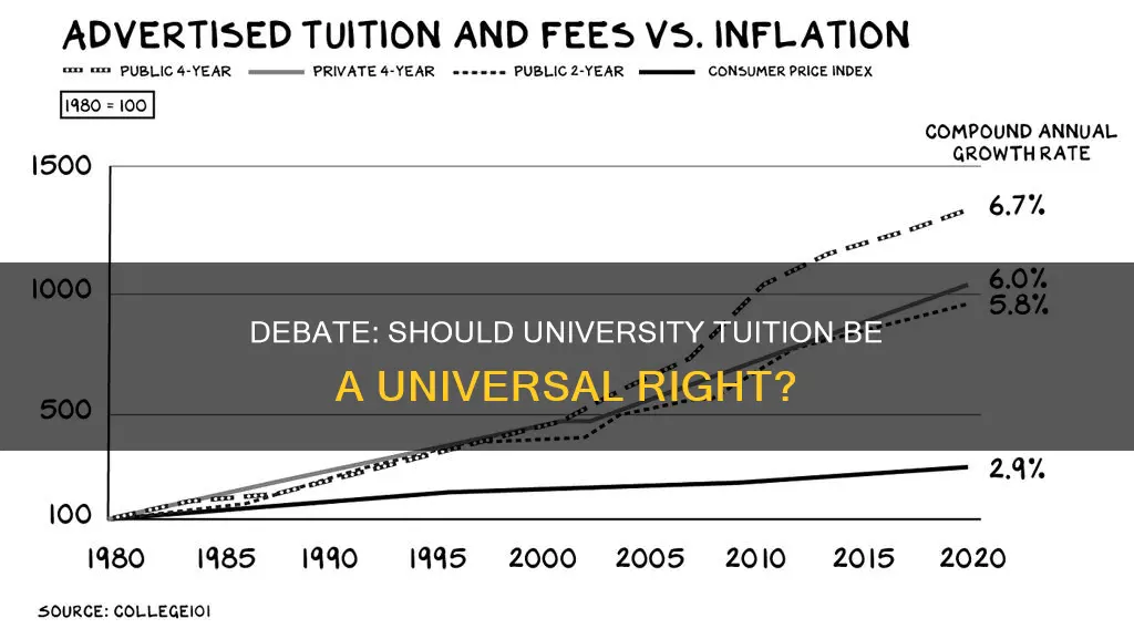 should all students pay for their university education