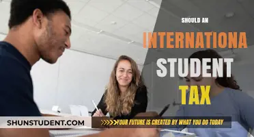International Student Tax: Who Should Pay?