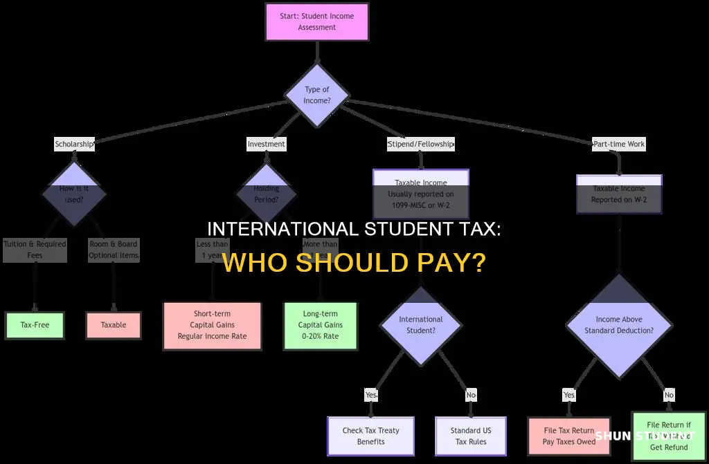 should an international student tax