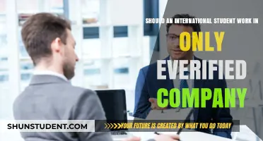 Everified Companies: Best for International Students?