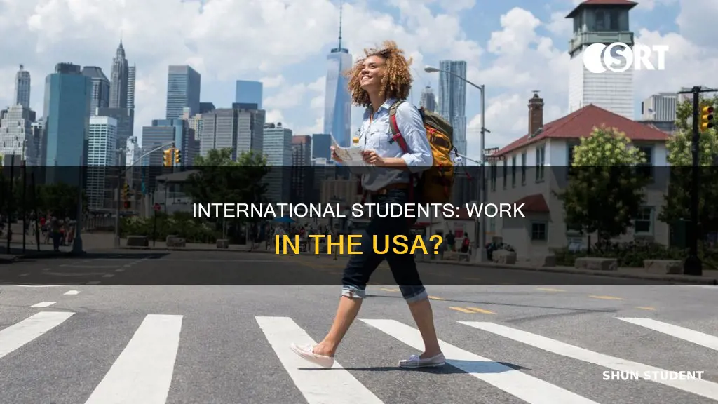 should be international students able to work in usa
