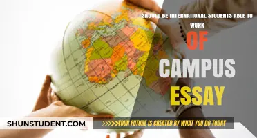 International Students: Work Rights and Opportunities