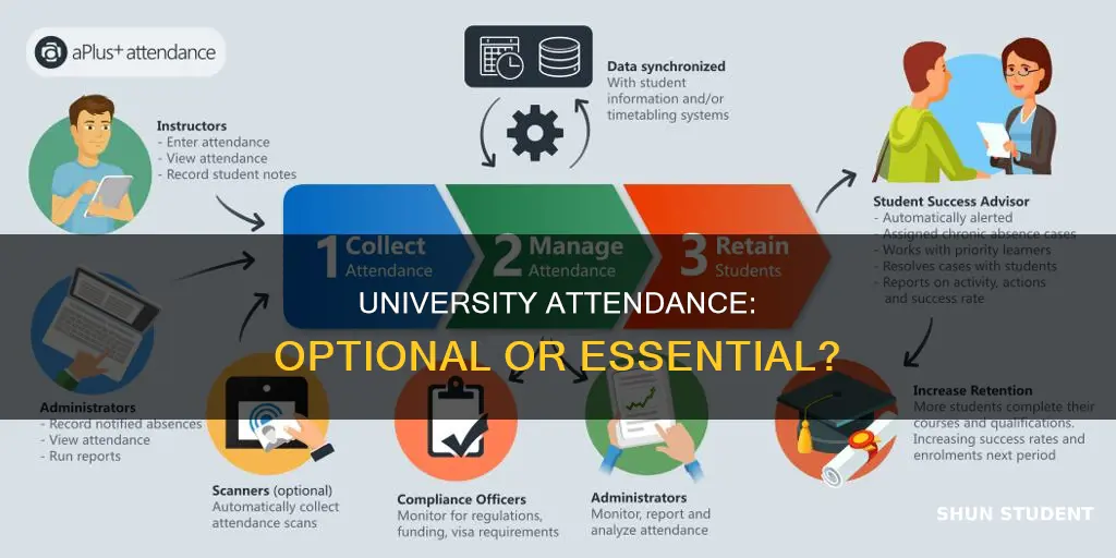 should class attendance be optional for university students