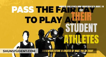 Should Colleges and Universities Compensate Student Athletes?