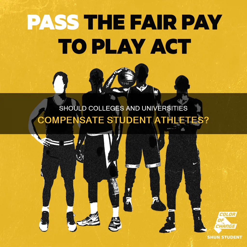 should colleges and universities have to pay their student athletes