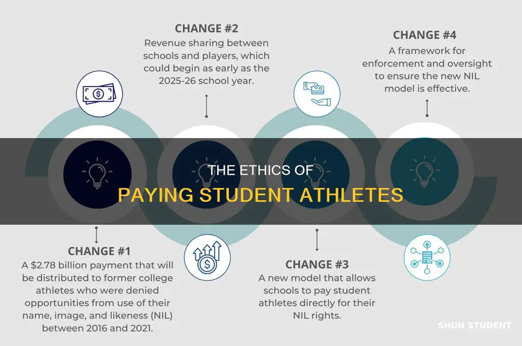 should colleges and universities have to pay their student athletes