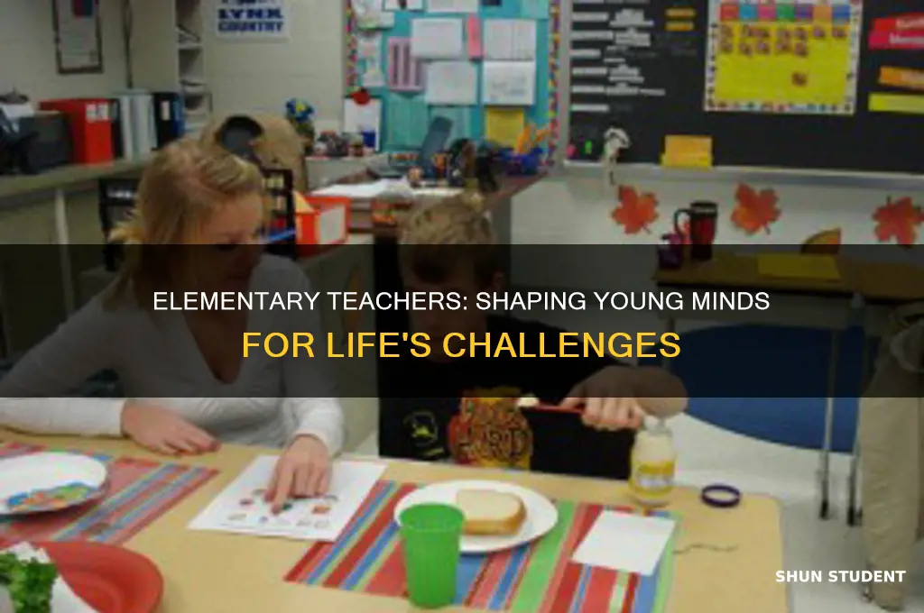 should elementary teacher prepare students for life