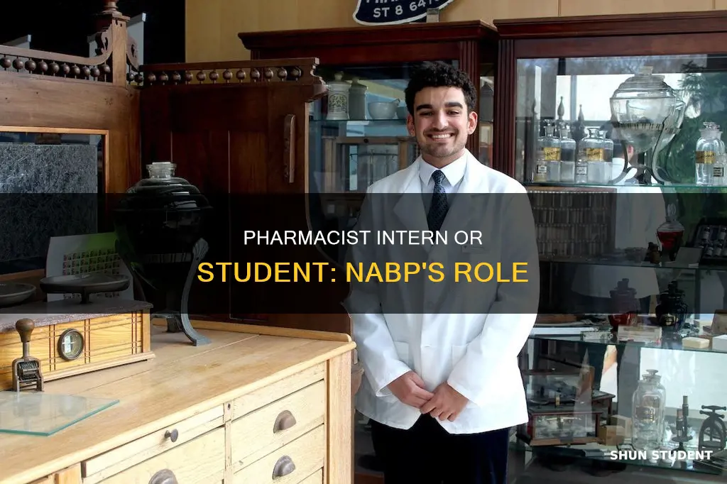 should i be pharmcist intern or student with nabp