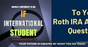 International Students: IRA Contributions Worthwhile?