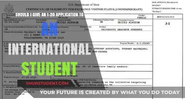 International Students: I-20 Applications, Necessary or Not?