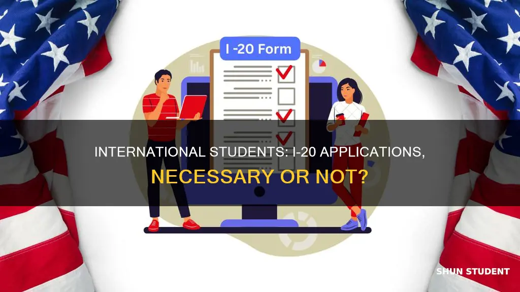 should i give an i-20 application to an international student
